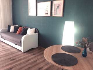 Апартаменты Oliva Comfort Apartment Киев Апартаменты с 1 спальней-35