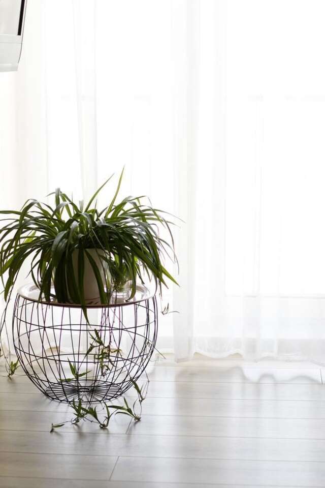 Апартаменты Oliva Comfort Apartment Киев-15